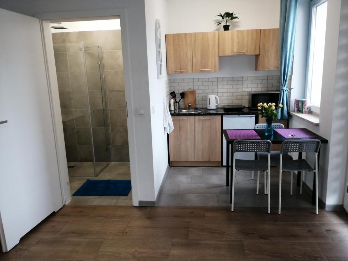 Pokoje - Studio Gliwice I Przy Onkologii Экстерьер фото